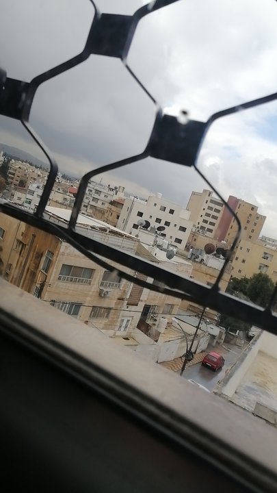 مشاركاتي في أنت الراصد