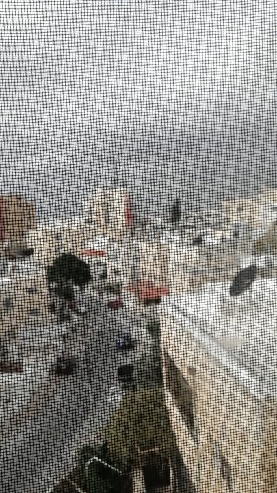 مشاركاتي في أنت الراصد