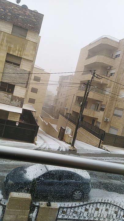 مشاركاتي في أنت الراصد