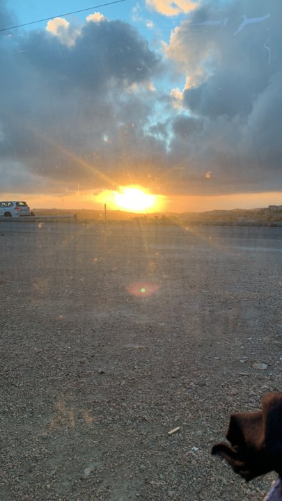 مشاركاتي في أنت الراصد