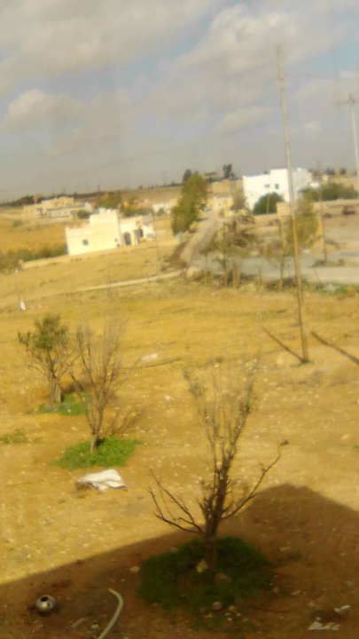 مشاركاتي في أنت الراصد