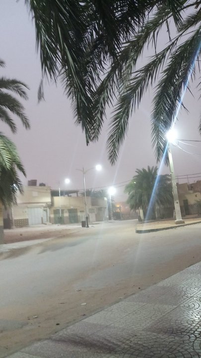 مشاركاتي في أنت الراصد