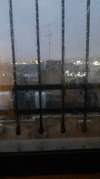 مشاركاتي في أنت الراصد