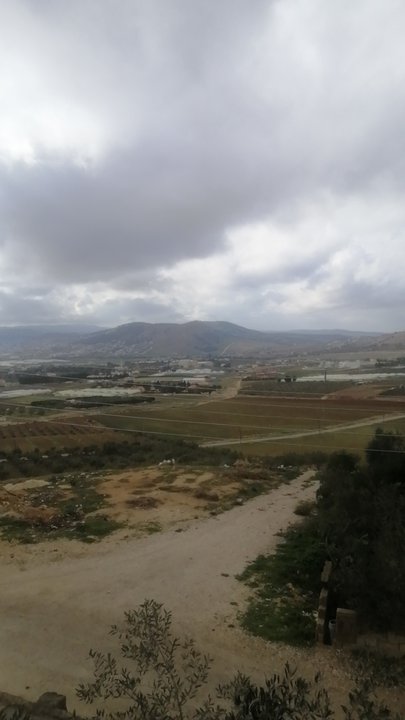 مشاركاتي في أنت الراصد