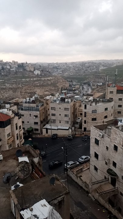 مشاركاتي في أنت الراصد