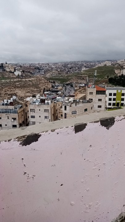 مشاركاتي في أنت الراصد