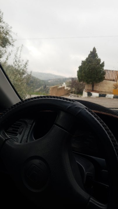 مشاركاتي في أنت الراصد