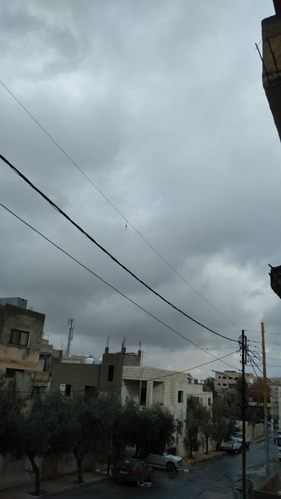 مشاركاتي في أنت الراصد