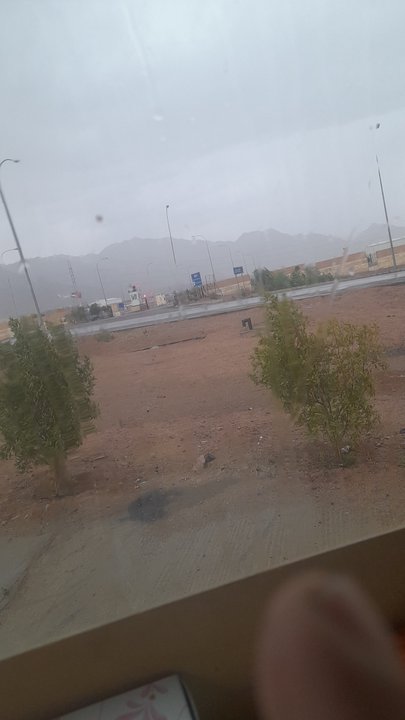 مشاركاتي في أنت الراصد