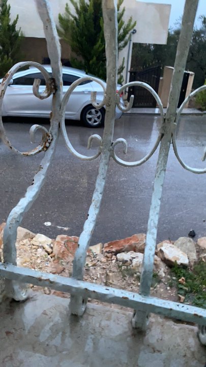 مشاركاتي في أنت الراصد