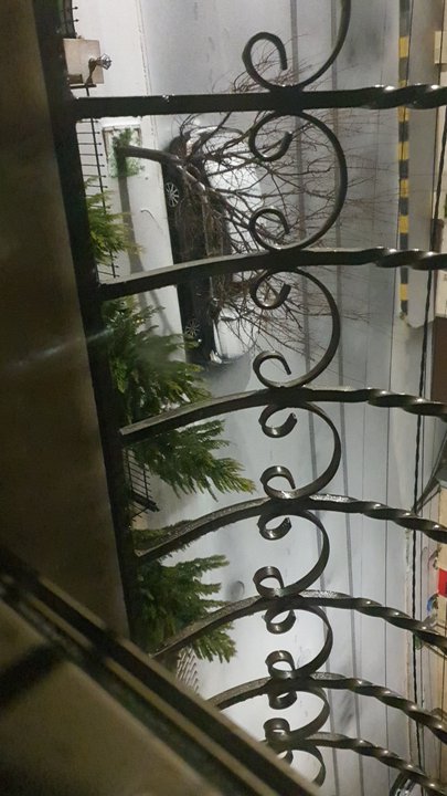 مشاركاتي في أنت الراصد