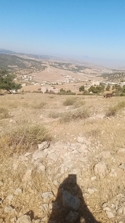 My Crowdsourcing Posts