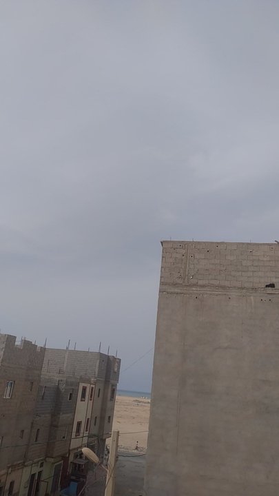 مشاركاتي في أنت الراصد