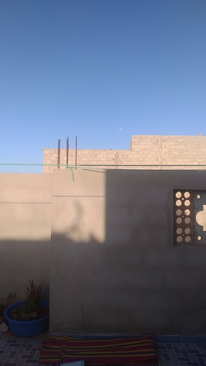 مشاركاتي في أنت الراصد