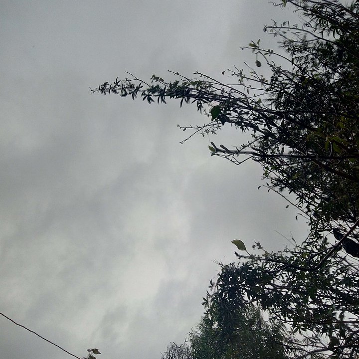 My Crowdsourcing Posts