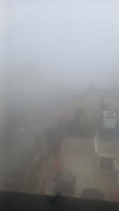 مشاركاتي في أنت الراصد