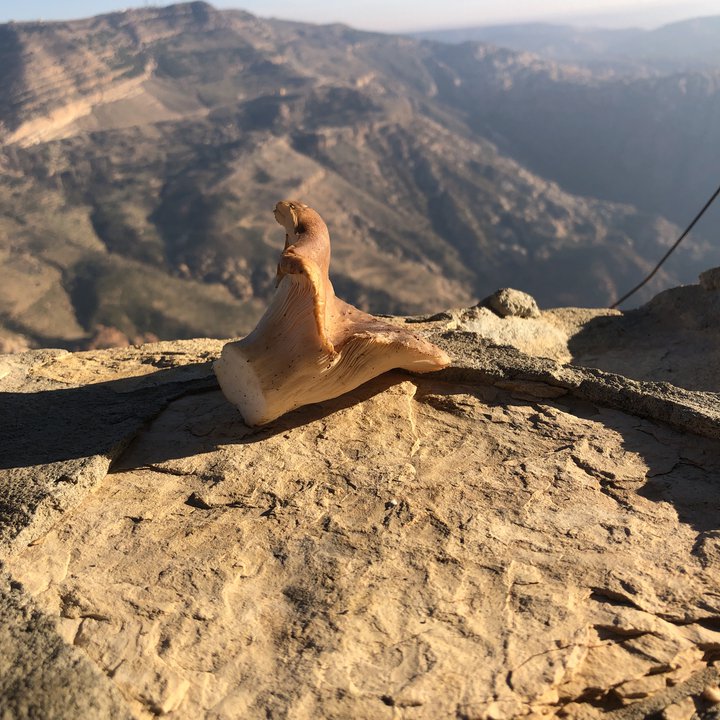 My Crowdsourcing Posts