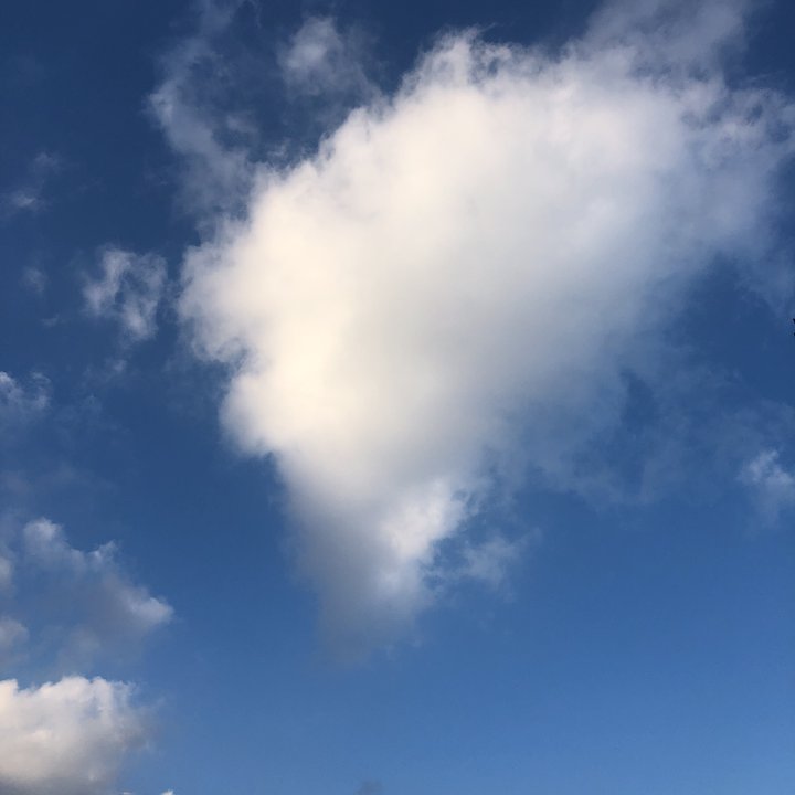 My Crowdsourcing Posts