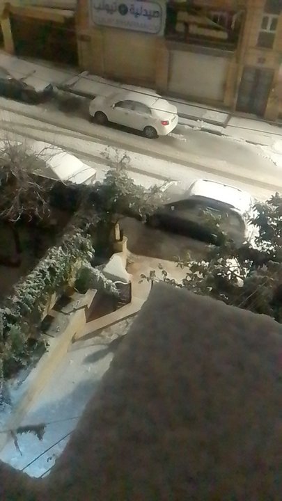 مشاركاتي في أنت الراصد