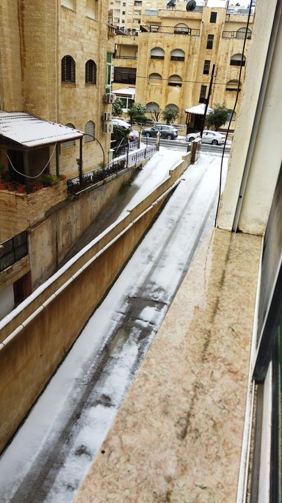 مشاركاتي في أنت الراصد