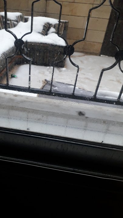 مشاركاتي في أنت الراصد