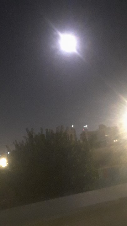 مشاركاتي في أنت الراصد