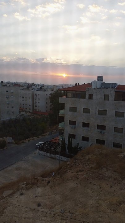 مشاركاتي في أنت الراصد