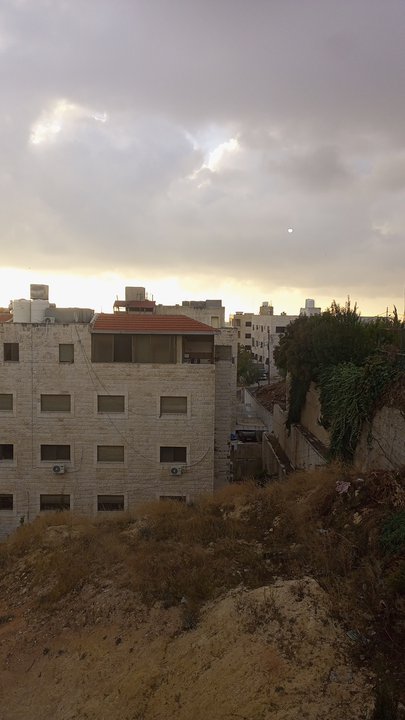 مشاركاتي في أنت الراصد