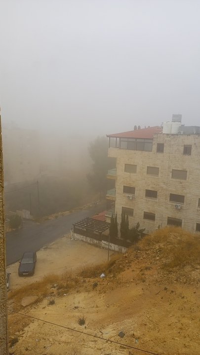 مشاركاتي في أنت الراصد