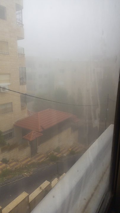 مشاركاتي في أنت الراصد