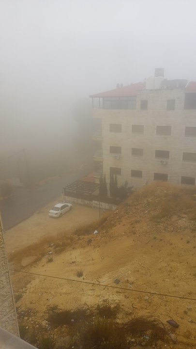 مشاركاتي في أنت الراصد