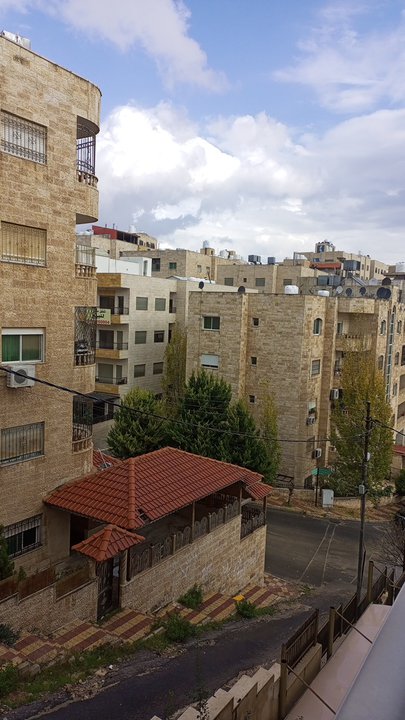 مشاركاتي في أنت الراصد