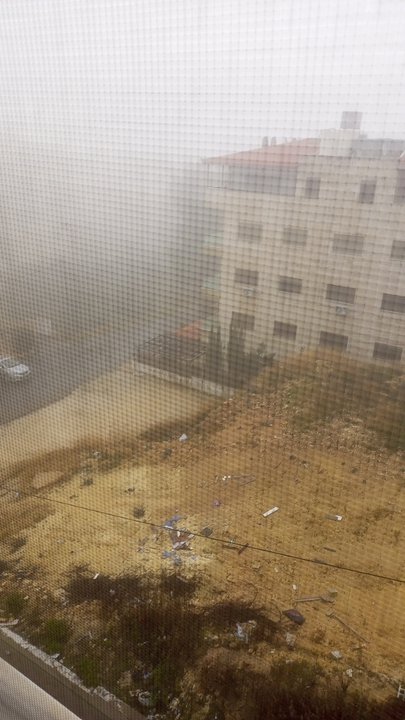 مشاركاتي في أنت الراصد