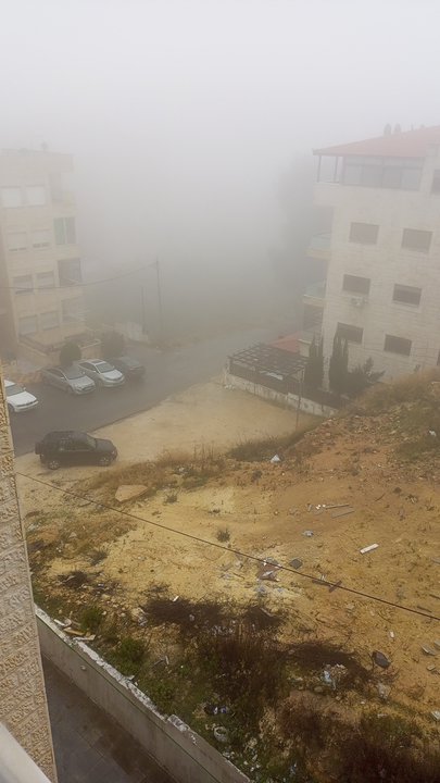 مشاركاتي في أنت الراصد