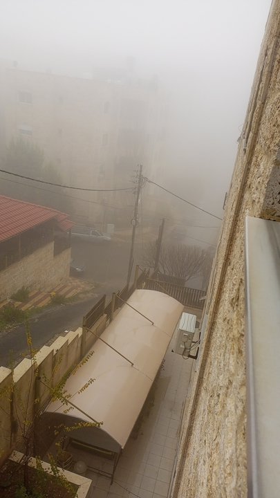 مشاركاتي في أنت الراصد