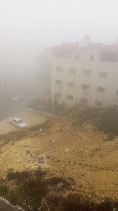 مشاركاتي في أنت الراصد