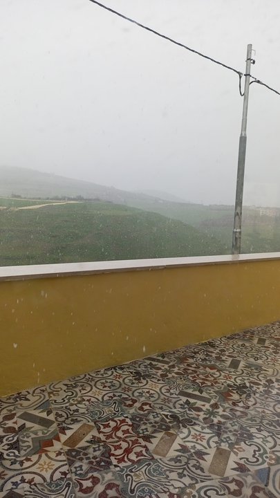 مشاركاتي في أنت الراصد