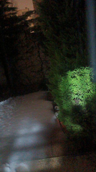 مشاركاتي في أنت الراصد