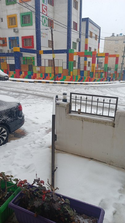 مشاركاتي في أنت الراصد