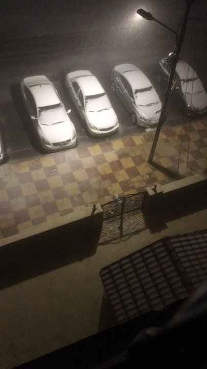 مشاركاتي في أنت الراصد