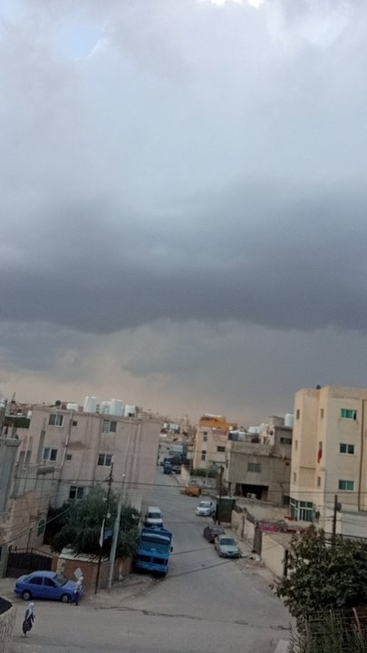 مشاركاتي في أنت الراصد