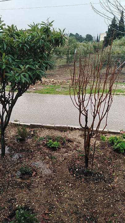 مشاركاتي في أنت الراصد