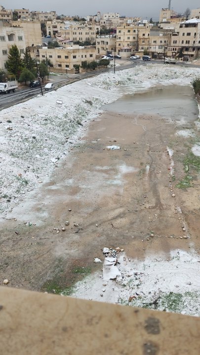 مشاركاتي في أنت الراصد