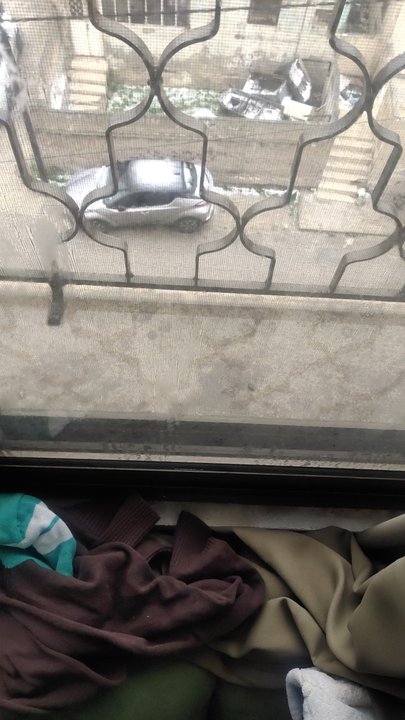 مشاركاتي في أنت الراصد