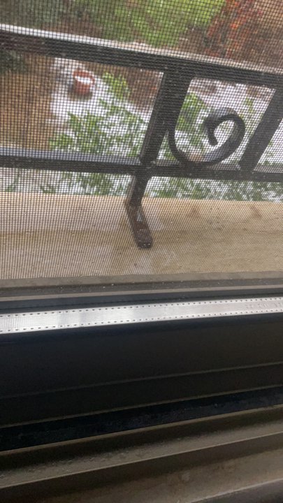 مشاركاتي في أنت الراصد