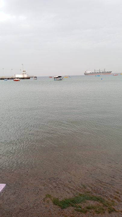 مشاركاتي في أنت الراصد