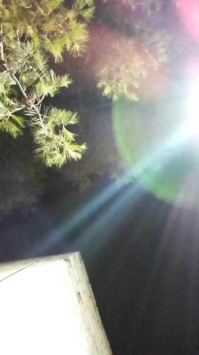 مشاركاتي في أنت الراصد