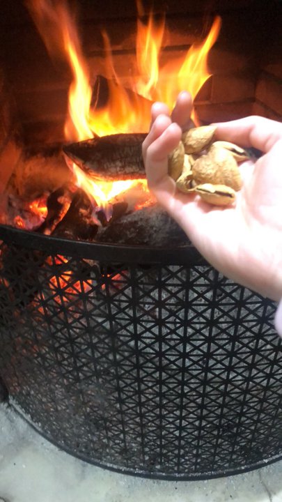 مشاركاتي في أنت الراصد