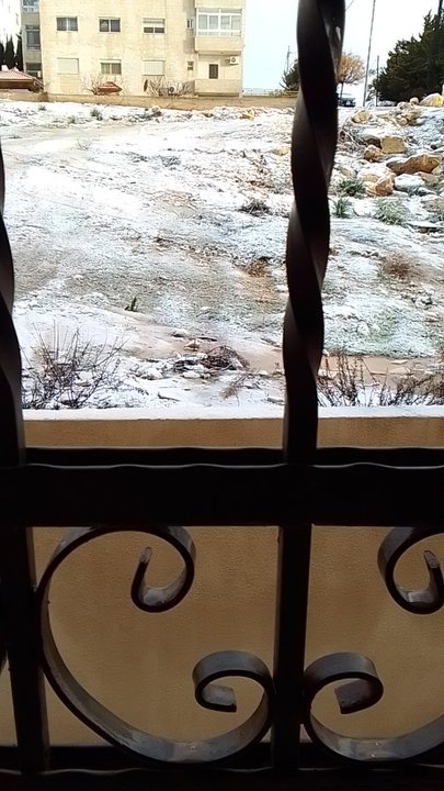 مشاركاتي في أنت الراصد