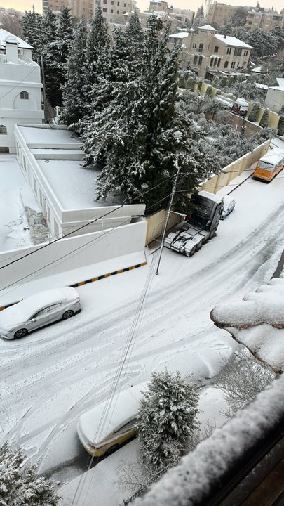 مشاركاتي في أنت الراصد